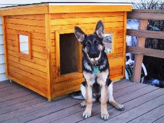 dog house plans