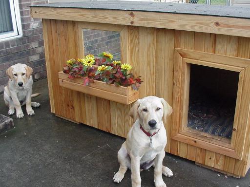 dog house plans