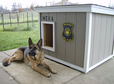 dog house plans