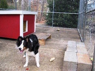 Charley - Virginia