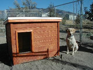Abbi - Utah