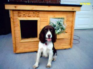 Chloe - West Virginia