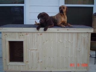 Copper andCocoa - Texas