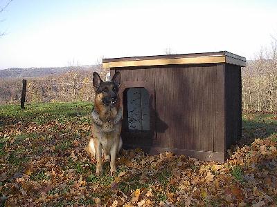 Eddie - Ohio