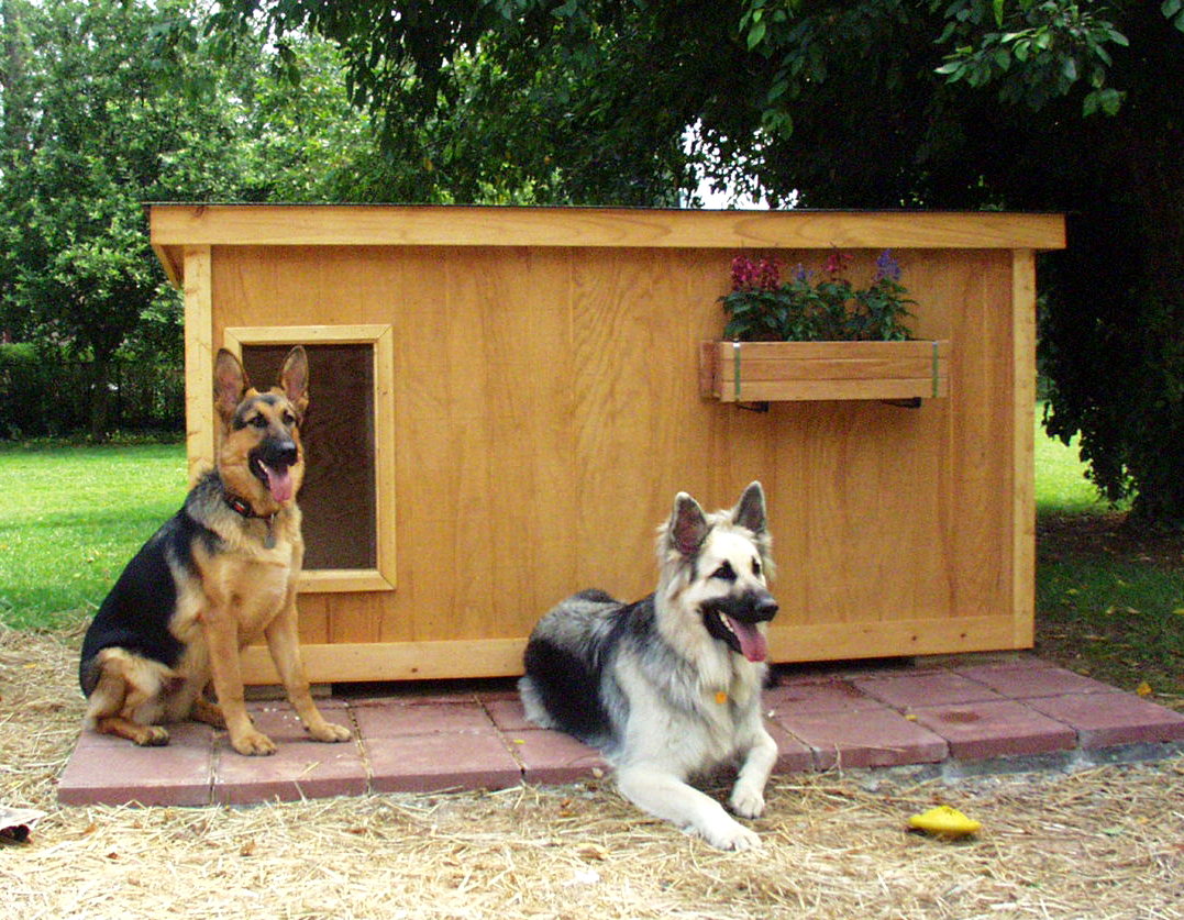 Jet & Dixie - North Carolina