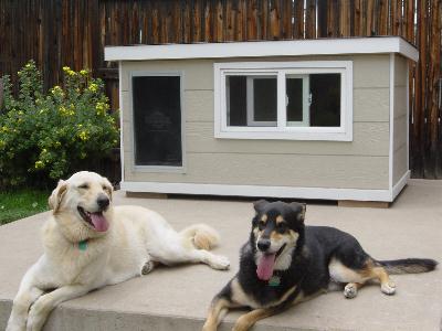 Jimi & Marley - Colorado