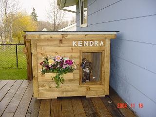 Kendra - Illinois