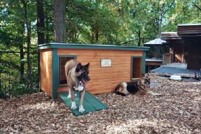 Logan and Jazz - PA