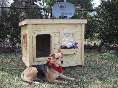 Molly - Michigan