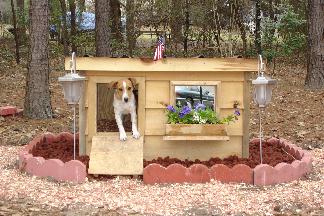 Ripley - Georgia