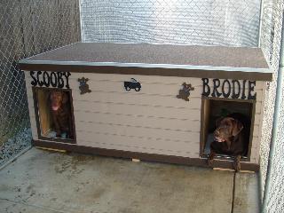 Scooby & Brodie - California