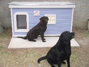 Shadow & Cocoa - New Mexico