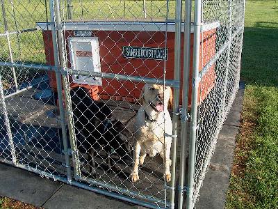 Shiner & Roxie - Texas