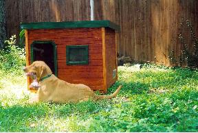 Tucker - Texas