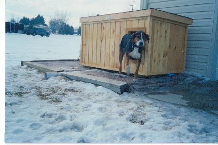 Jack - Ohio