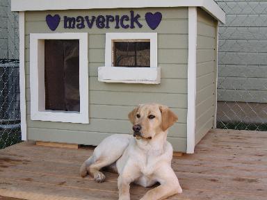 Free  House Plans on Customer Completed Police Dog Houses