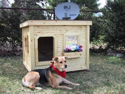 dog house plans